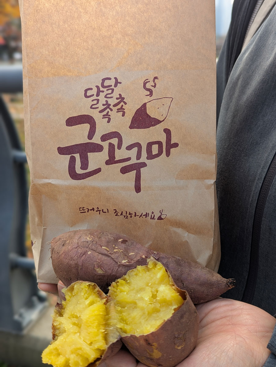 Korean baked sweet potato
